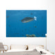 Spotted Unicornfish Swimming Fiji Wall Decal