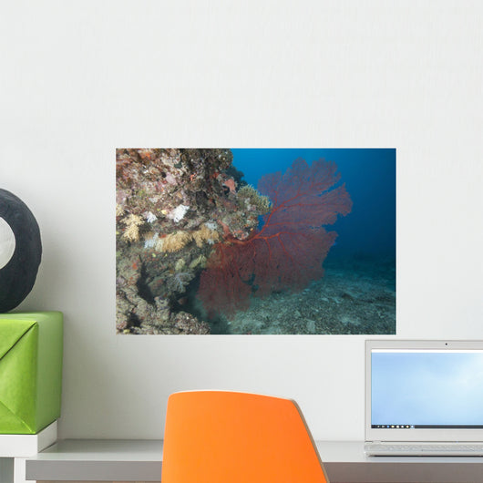 Large Red Gorgonian Sea Fanned Wall Decal