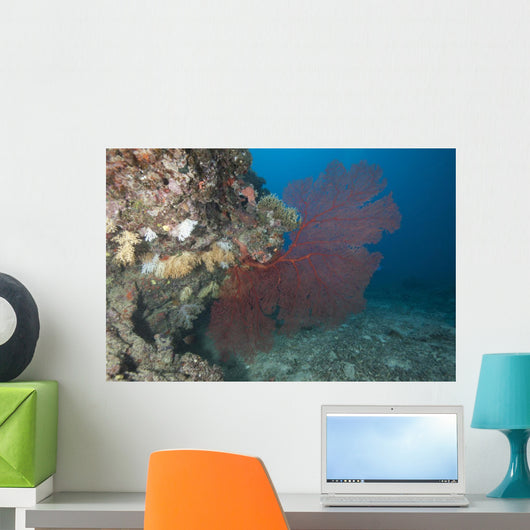 Large Red Gorgonian Sea Fanned Wall Decal