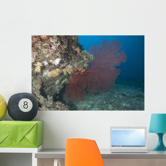 Large Red Gorgonian Sea Fanned Wall Decal