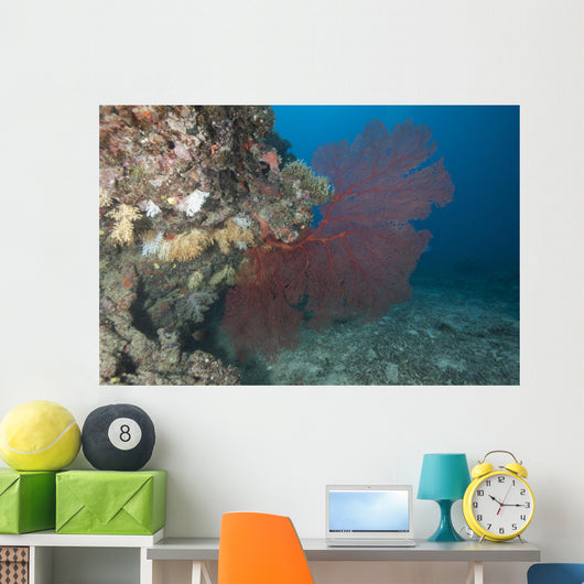 Large Red Gorgonian Sea Fanned Wall Decal
