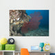 Large Red Gorgonian Sea Fanned Wall Decal