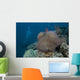 Diver Swims past Large Wall Decal