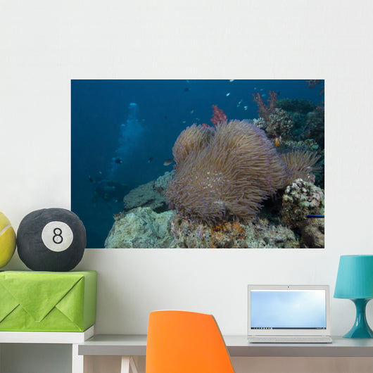 Diver Swims past Large Wall Decal