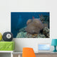 Diver Swims past Large Wall Decal