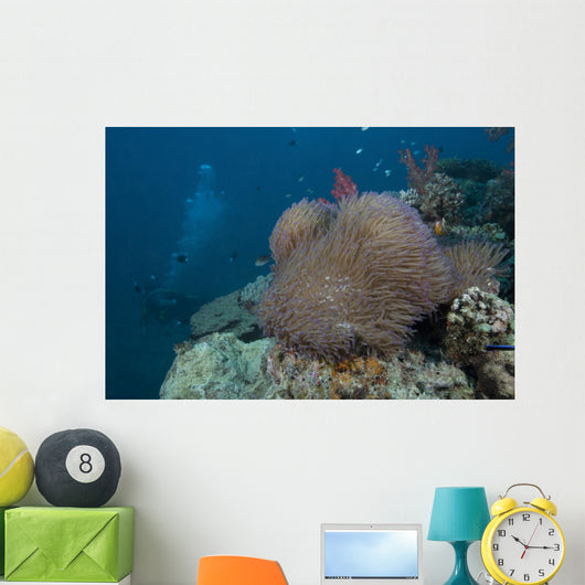 Diver Swims past Large Wall Decal