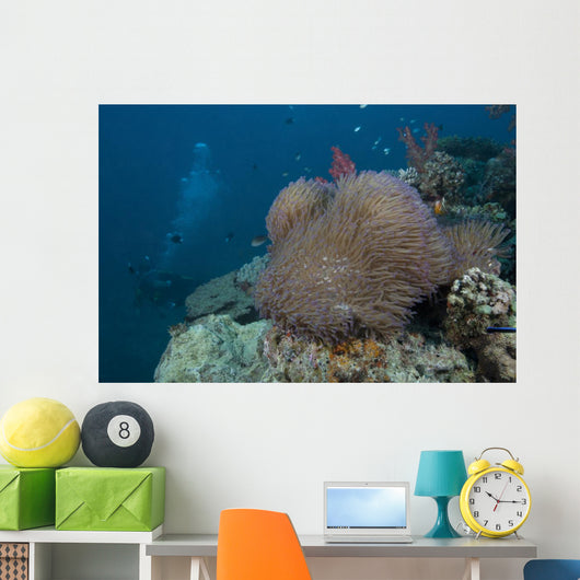 Diver Swims past Large Wall Decal