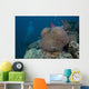 Diver Swims past Large Wall Decal