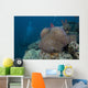 Diver Swims past Large Wall Decal