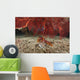 Large Red Gorgonian Sea Growing Down Wall Decal