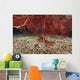 Large Red Gorgonian Sea Growing Down Wall Decal
