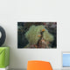 Multiple Pink Anemonefish Its Host Wall Decal