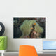 Multiple Pink Anemonefish Its Host Wall Decal