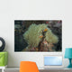 Multiple Pink Anemonefish Its Host Wall Decal