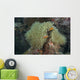 Multiple Pink Anemonefish Its Host Wall Decal