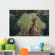 Multiple Pink Anemonefish Its Host Wall Decal