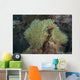 Multiple Pink Anemonefish Its Host Wall Decal