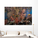 Schooling Scalefin Anthias Fish Wide Shot Wall Decal