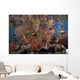 Schooling Scalefin Anthias Fish Wide Shot Wall Decal