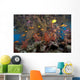 Schooling Scalefin Anthias Fish Landscape Wall Decal