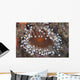 Sea Anemone Beqa Lagoon Close-up Wall Decal
