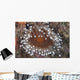 Sea Anemone Beqa Lagoon Close-up Wall Decal