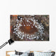 Sea Anemone Beqa Lagoon Close-up Wall Decal