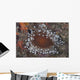 Sea Anemone Beqa Lagoon Wall Decal