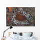 Sea Anemone Beqa Lagoon Wall Decal