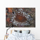 Sea Anemone Beqa Lagoon Wall Decal