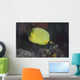 Latticed Butterflyfish Fiji Wall Decal