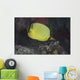 Latticed Butterflyfish Fiji Wall Decal