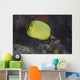Latticed Butterflyfish Fiji Wall Decal