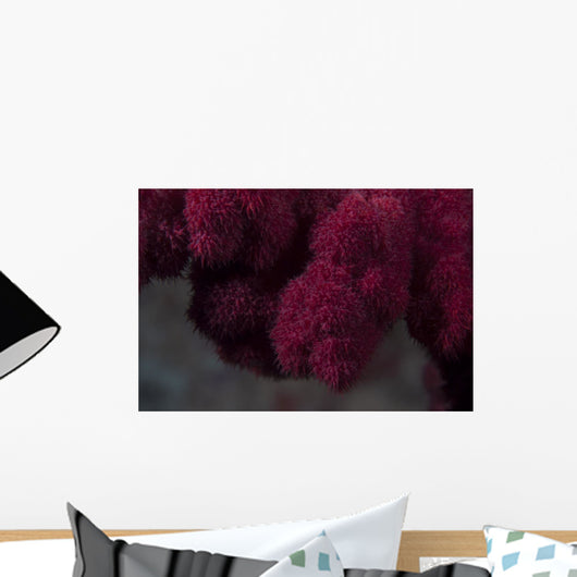 Extreme Close-up Soft Coral Upward Angle Wall Decal