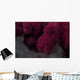Extreme Close-up Soft Coral Upward Angle Wall Decal