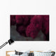 Extreme Close-up Soft Coral Upward Angle Wall Decal
