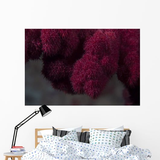 Extreme Close-up Soft Coral Upward Angle Wall Decal