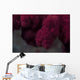 Extreme Close-up Soft Coral Upward Angle Wall Decal