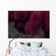 Extreme Close-up Soft Coral Upward Angle Wall Decal