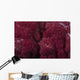 Extreme Close-up Soft Coral Wall Decal