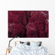 Extreme Close-up Soft Coral Wall Decal