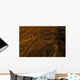 Close-up Image Yellow Crinoid Wall Decal