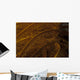 Close-up Image Yellow Crinoid Wall Decal