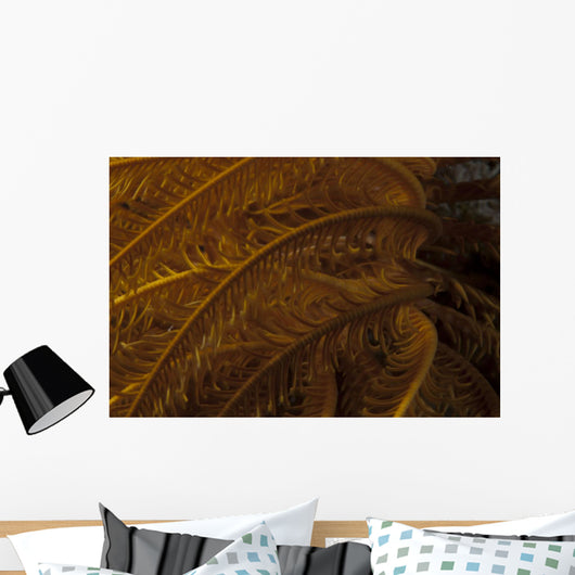 Close-up Image Yellow Crinoid Wall Decal