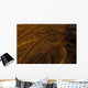 Close-up Image Yellow Crinoid Wall Decal