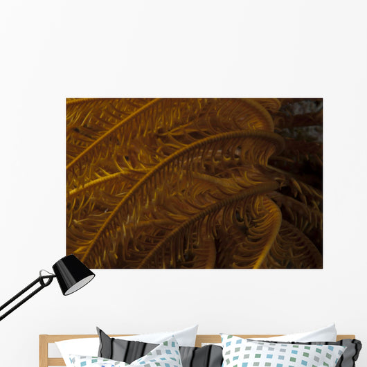 Close-up Image Yellow Crinoid Wall Decal