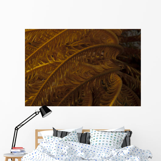 Close-up Image Yellow Crinoid Wall Decal