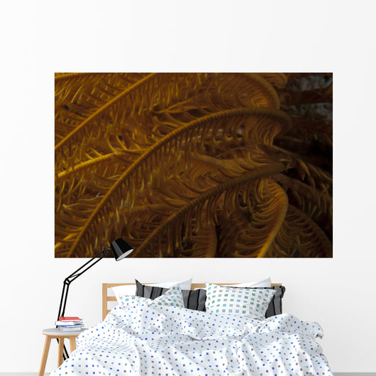 Close-up Image Yellow Crinoid Wall Decal