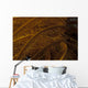 Close-up Image Yellow Crinoid Wall Decal