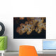 Close-up Tree Coral Fijian Yellow Wall Decal